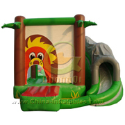inflatable bouncer